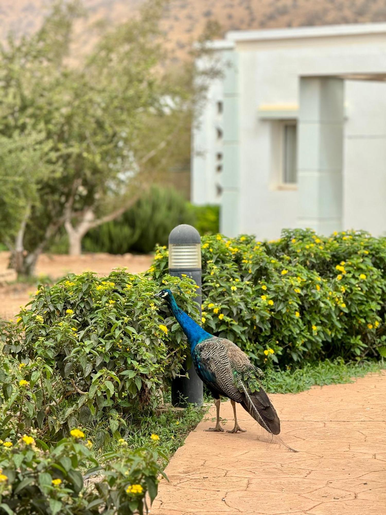Lunja Village - Agadir Imi Ouaddar Εξωτερικό φωτογραφία